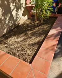 WhatsApp Image 2026-02-20 at 10.01.15